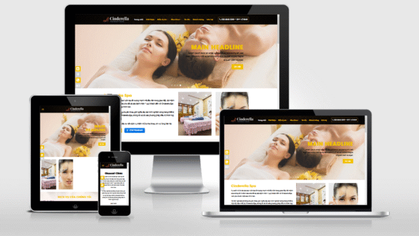 Theme Wordpress spa, thẩm mỹ viện, nha khoa đã Việt hóa