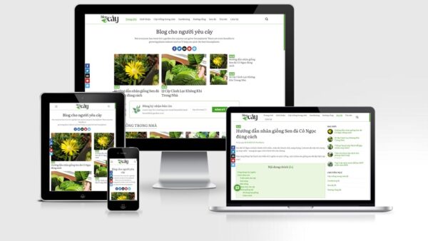 Theme wordpress tin tức / blog mẫu số 5