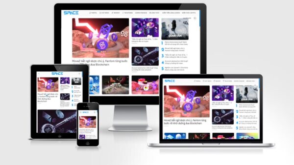 Theme wordpress tin tức / blog mẫu số 6